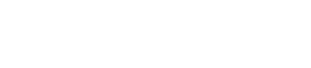 LOGO elin4d